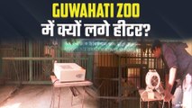 बाघों और शेरों को सर्द हवाओं से बचाने के लिए Guwahati Zoo में लगे हीटर