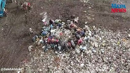 İdlib'de çocuklar çöpten yemek topluyor