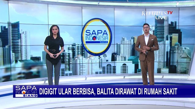 2 Minggu Balita Terbaring Lemas Usai Digigit Ular Brahma