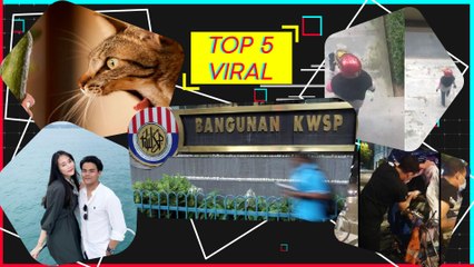 Tolong jangan guna timun takutkan kucing, kasihan makcik rider dianiya pelanggan…