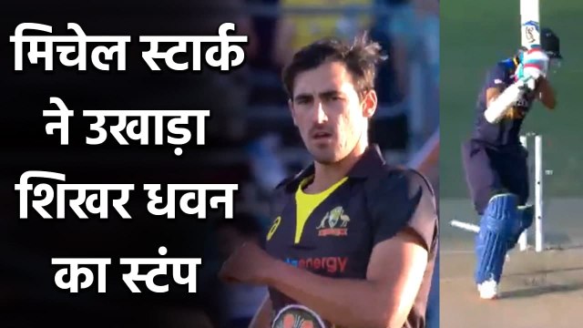 India vs Australia 1st T20I : Mitchell Starc clean ups Shikhar Dhawan off Stump | वनइंडिया हिंदी