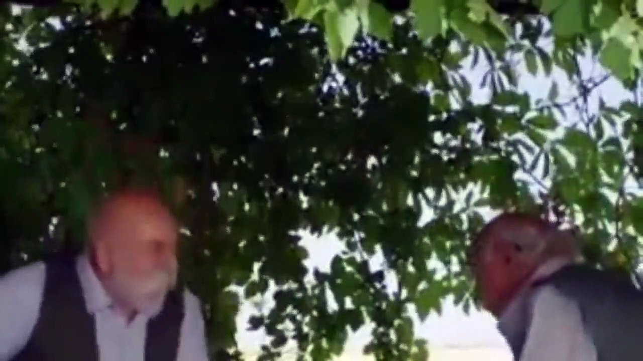 Hercai Capitulo 49 Completo HD Español