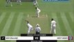 Stunning Williamson double-century puts New Zealand on top