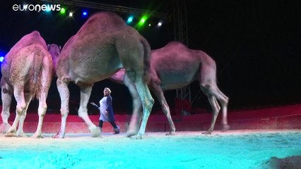 شاهد: وباء كورونا يُلقي بظلاله على نشاط سيرك ميدرانو في ليون