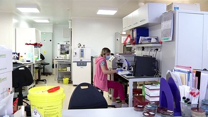 Парламентские выборы на фоне пандемии: в воскресенье граждане Румынии отправятся голосовать