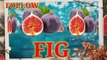 fruit  name English,fruit name,  fruit name in english,  fruit name for kids,  fruit name english mein,  fruit names with pictures for