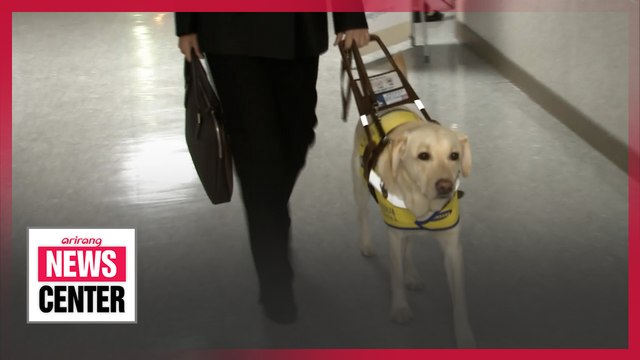 How barrier-free is South Korean parliament? : Story of lawmakers with disabilities
