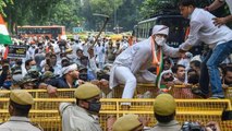 After another round of failed talks with Centre farmers' protest continues to hit capital