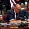 Rudy Giuliani’s Star Voter Fraud Witness at Michigan Hearing - NowThis