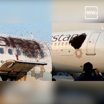 Swarm Of Bees Stuck To Parked Flight Causes 'Buzz' In Kolkata Airport