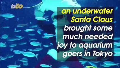 Descargar video: Santa Claus Brings Holiday Joy to Aquarium Visitors With Underwater Show