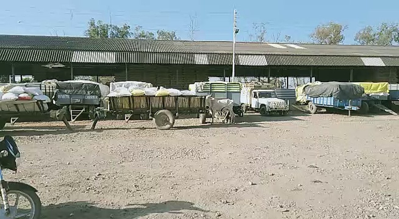 धान खरीद न होने से किसान परेशान, मंडी के चक्कर काट रहे किसान