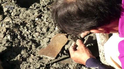 Archaeologists Unearth Ancient, Perfectly Preserved Whale Skeleton in Thailand