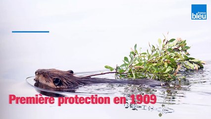 La nature est résiliente