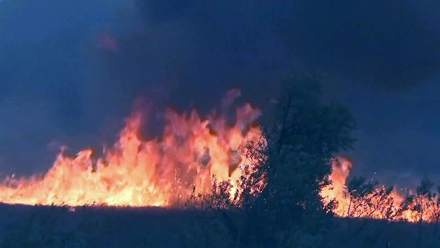 В Калифорнии бушуют природные пожары
