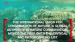 Great Barrier Reef Moved to ‘Critical and Deteriorating’ List, Conservation Groups Blame Government