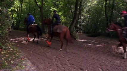 Montage Chrono - Les Grandes Ecuries