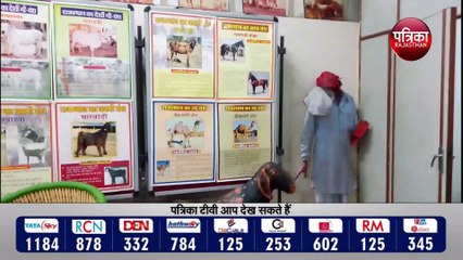 इनाफ में रजिस्टर्ड सभी वेक्सीनेटर्स को मिलेगा मानदेय