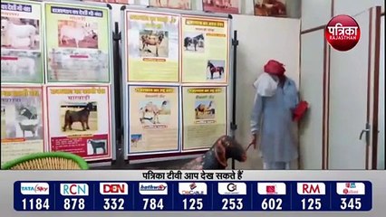 इनाफ में रजिस्टर्ड सभी वेक्सीनेटर्स को मिलेगा मानदेय