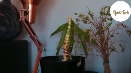 2 Amezing facts | दुनिया का सबसे ऊंचा रेल bridge कहां है | SfactTech