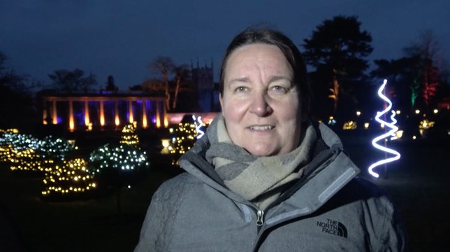 FIRST LOOK: Christmas At Belton 2020 dazzles away lockdown gloom