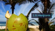 8 propiedades y beneficios del agua de coco