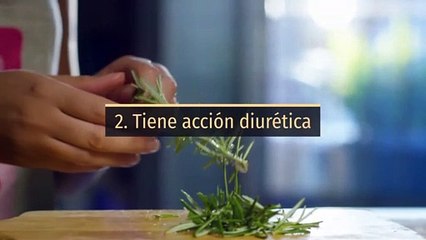 8 propiedades y beneficios del romero