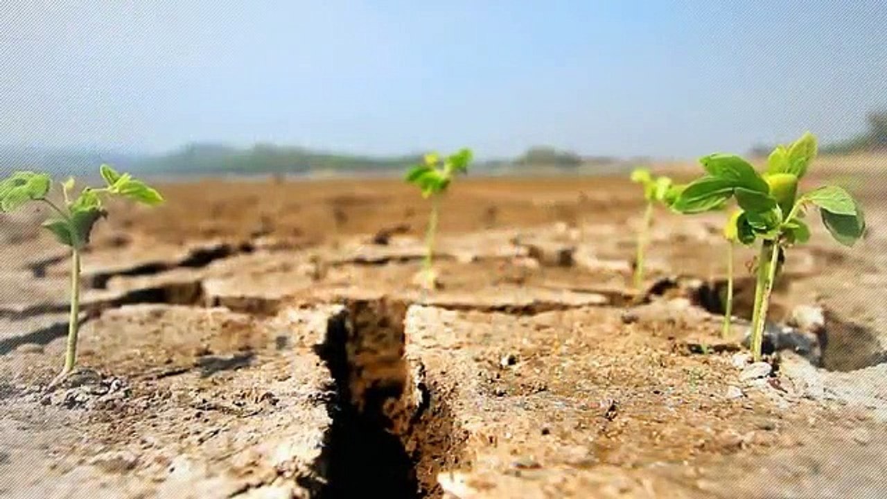Longère ancienne de 65 m2 à rafraichir secteur La Cambes