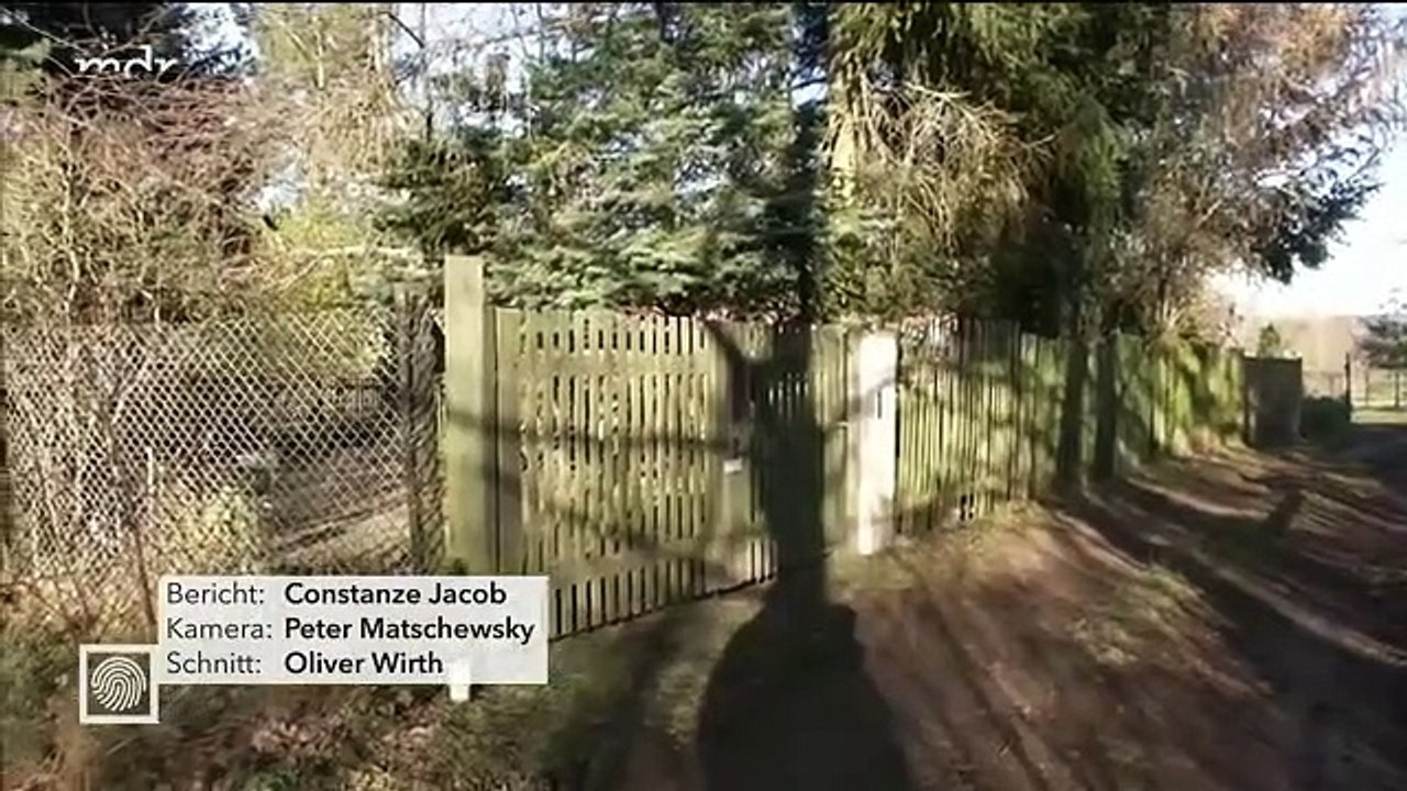 Kripolive 29.november 2020