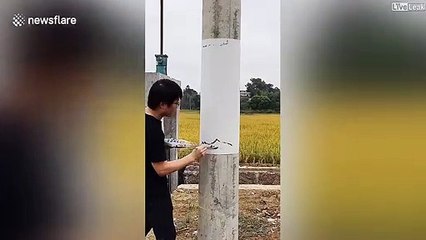 Cet artiste a une idée géniale pour camoufler les poteaux téléphoniques en pleine nature