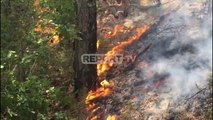 Zjarr masiv në Korçë! 30 forca zjarrfikëse në pyllin me pisha, ngjiten në këmbë prej terrenit
