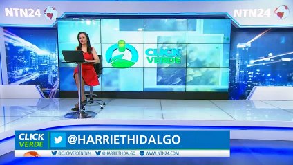 Informe internacional mostró leve disminución en contaminación plástica