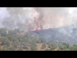 Ora News - Zjarri përfshin kodrat me ullinj në Lushnje