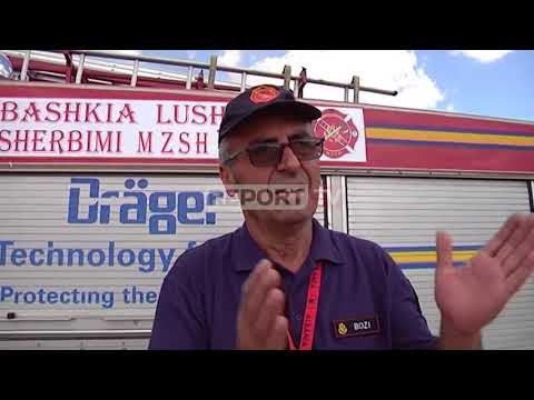 Report TV -Zjarr i madh në Lushnje, digjen kodrat me ullinj flet drejtori i zjarrefiksve