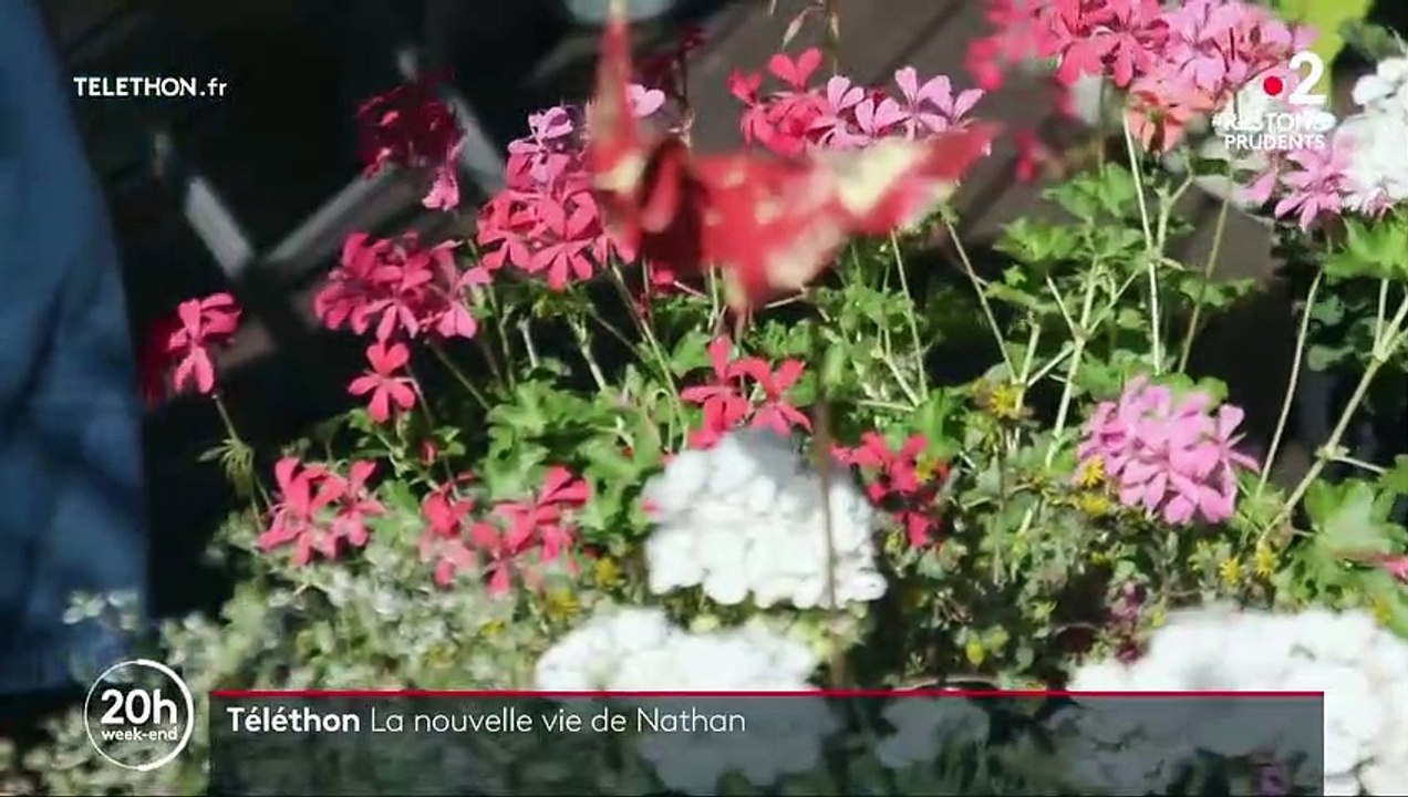 Téléthon : rencontre avec Nathan, un enfant atteint d’une myopathie inconnue