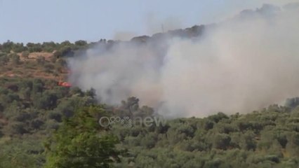 Télécharger la video: Ora News - Zjarri djeg 10 hektarë ullishte e vreshta në Lushnje