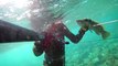 Spearfishing Ballan Wrasse / Zıpkınla Kikla Avı