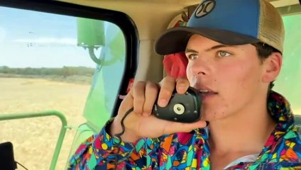 NSW's bumper grain crop brings joy and hard work