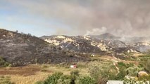 Ora News - Rrogozhinë, zjarri përfshin fshatin, djeg ullinj e pisha