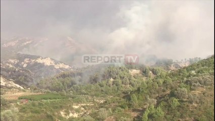 Report TV - Zjarr i madh në Rrogozhinë, digjen 15 hektarë me ullinj