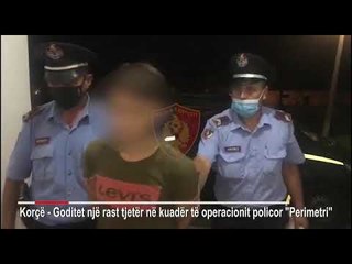Korçë, transportuan 3 emigrantë të paligjshëm, prangosen 2 persona