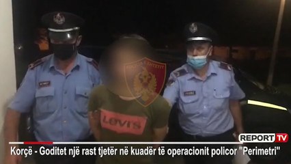Report TV - Tentuan të transportonin 3 emigrantë kundrejt fitimit, pranga dy trafikantëve në Devoll