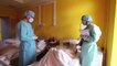 Koronavirusi në Shqipëri, ulet numri i viktimave, 151 raste të reja në 24 orë, 198 të shtruar