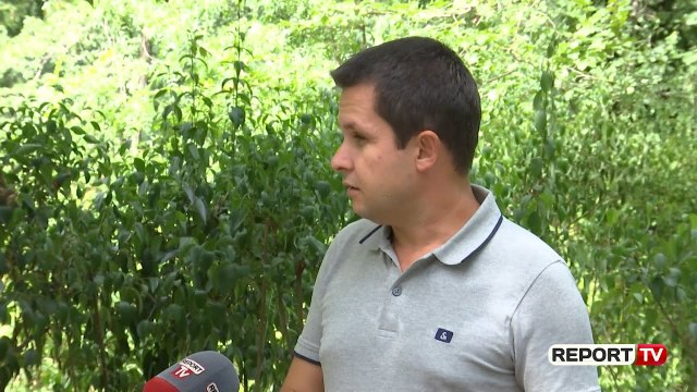 Hapja e madhe rriti shifrat e Covid-19, piku në gusht, Alimehmeti: Tek rastet e reja po vihet re ...