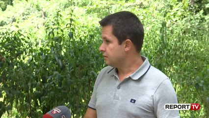 Hapja e madhe rriti shifrat e Covid-19, piku në gusht, Alimehmeti: Tek rastet e reja po vihet re ...