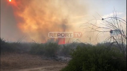Vijon zjarri në pyllin e Parosit, mbërrin një makinë zjarrfikëse, kërkohet ndihmë nga ajri
