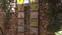 Ora News - Shkodër, biodiversiteti përmes imazheve, 80 fotografi e piktura tregojnë ekosistemin