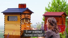 Crowdfunded Beehive Provides Honey On Tap