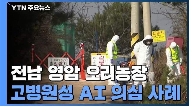 고병원성 AI 전남 영암 오리농장서 의심 사례...전국 세 번째 / YTN