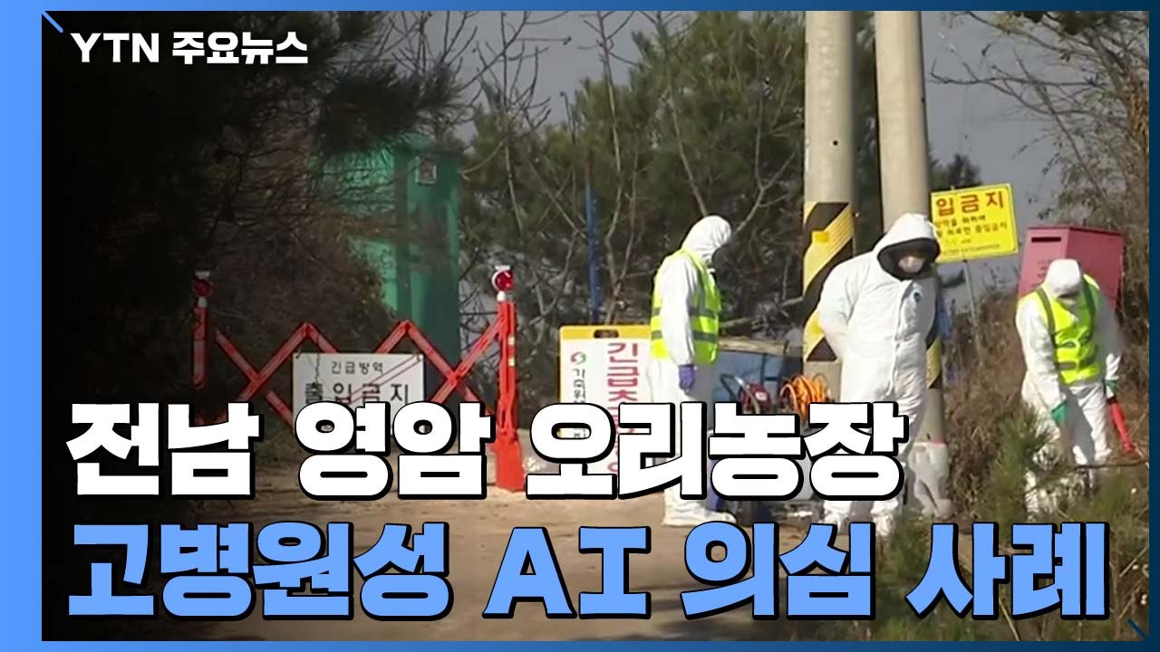 고병원성 AI 전남 영암 오리농장서 의심 사례...전국 세 번째 / YTN
